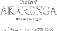 L'atelier d' AKARENGA